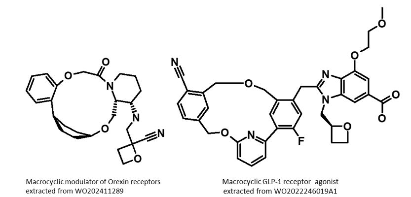 Macrocyclic GLP1 agonist Orexin Modulator